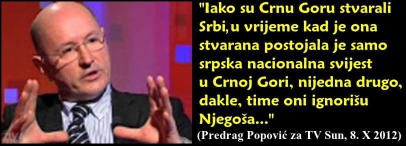 3-predrag-popovic