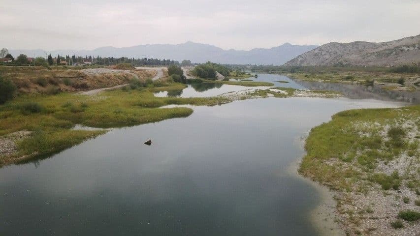 Na Skadarskom jezeru zaplijenjeno 300 kilograma ribe Na Skadarskom jezeru zaplijenjeno 300 kilograma ribe