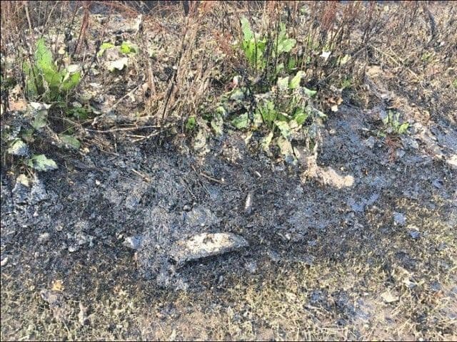 CETINJE: Utvrđuje se odgovornost za izliveni mazut CETINJE: Utvrđuje se odgovornost za izliveni mazut