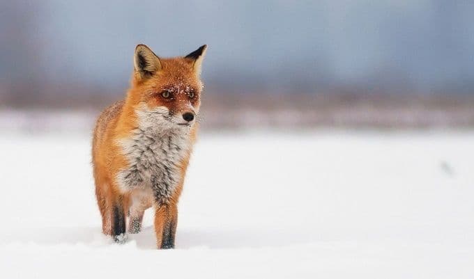 Fotografije kanjona Cijevne i Prokletija izabrane među pet najljepših na Balkanu Fotografije kanjona Cijevne i Prokletija izabrane među pet najljepših na Balkanu