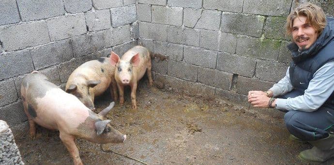 MARAŠ: Selo da hrani grad, grad da čuva selo MARAŠ: Selo da hrani grad, grad da čuva selo