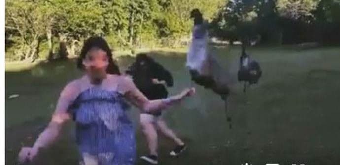 Iz prihvatilišta za životinje: Tuđe nećemo, svoje ne damo Iz prihvatilišta za životinje: Tuđe nećemo, svoje ne damo