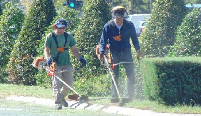 Zelenilo uredno održava javne površine Zelenilo uredno održava javne površine