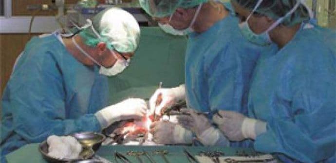 Traženje i regrutovanje davaoca organa biće krivično djelo Traženje i regrutovanje davaoca organa biće krivično djelo