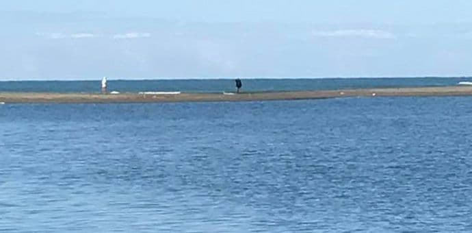 Bojana ponovo ne otiče normalno, Ada pretvorena u poluostrvo Bojana ponovo ne otiče normalno, Ada pretvorena u poluostrvo