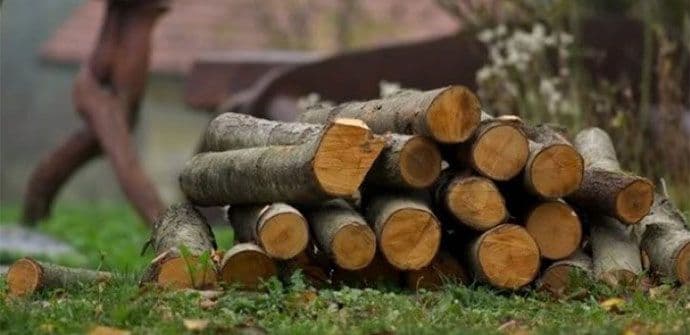 Drva stigla u pravi čas Drva stigla u pravi čas