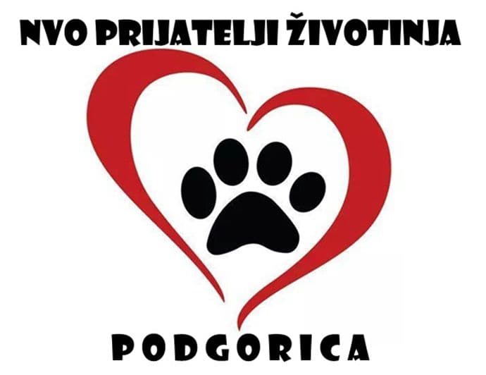 Program ""uhvati, steriliši i pusti" preporučen od SZO Program ""uhvati, steriliši i pusti" preporučen od SZO