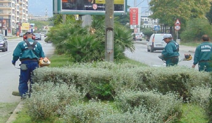 Uredno održavanje zelenih površina u gradu Uredno održavanje zelenih površina u gradu