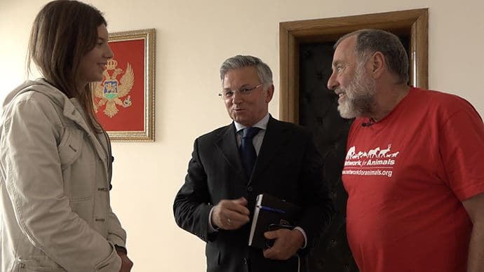 NVO "Network for Animals" u posjeti Nikšiću NVO "Network for Animals" u posjeti Nikšiću