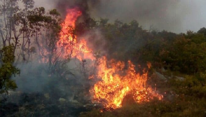 Požar na Paštrovskoj gori Požar na Paštrovskoj gori