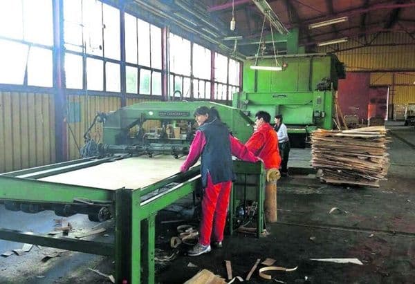 Furnir iz Nikšića na tržištima Kine i regiona Furnir iz Nikšića na tržištima Kine i regiona