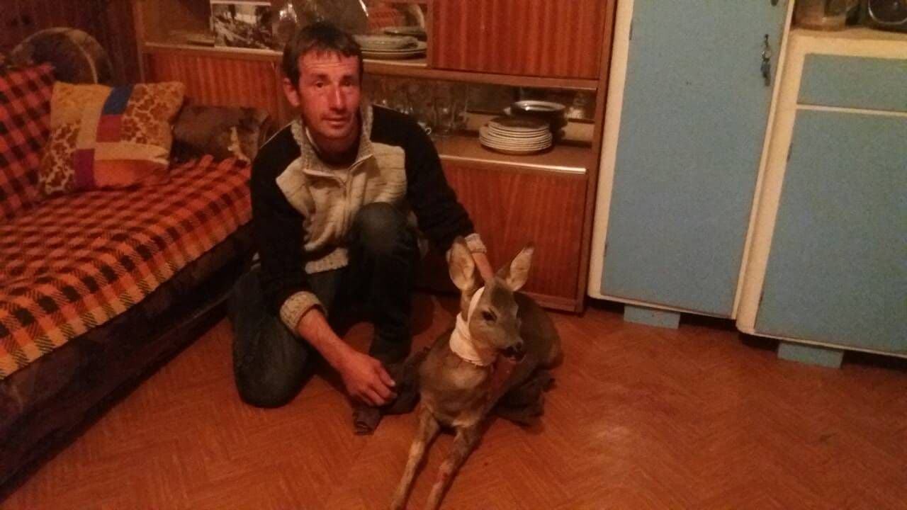 Nikšić: Spasili srndaća od sigurne smrti Nikšić: Spasili srndaća od sigurne smrti