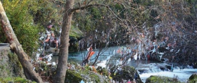 Godišnje 50 miliona kesa završi u prirodi Godišnje 50 miliona kesa završi u prirodi