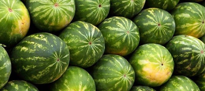 Sapleo se o lubenicu u marketu, dobio 7,5 miliona dolara Sapleo se o lubenicu u marketu, dobio 7,5 miliona dolara