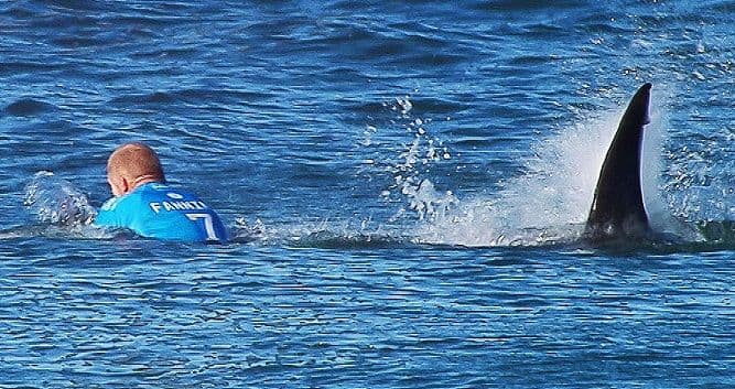 Golim rukama savladao ajkulu (VIDEO) Golim rukama savladao ajkulu (VIDEO)