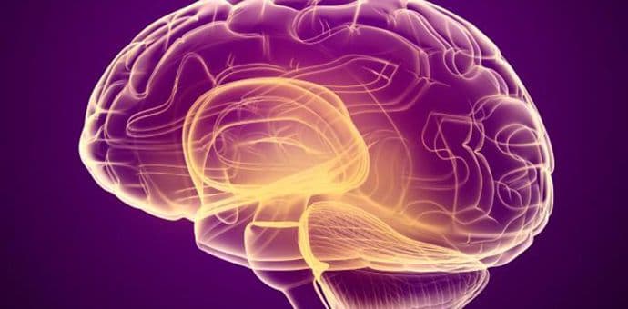 Zašto su istraživanja mozga važna Zašto su istraživanja mozga važna