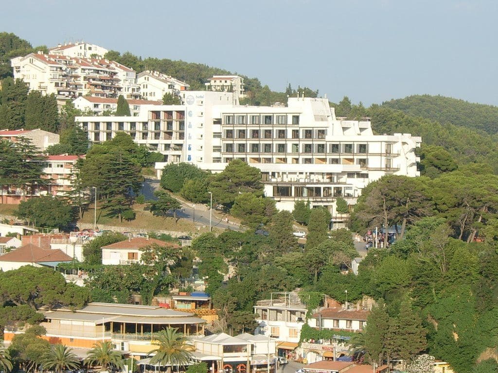 Na spisku osumnjičenih uskoro Hajdinaga i Hodžić Na spisku osumnjičenih uskoro Hajdinaga i Hodžić