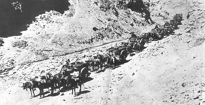 Sa stranica istorije iseljeništva: Tragom statističke eliminacije Sa stranica istorije iseljeništva: Tragom statističke eliminacije