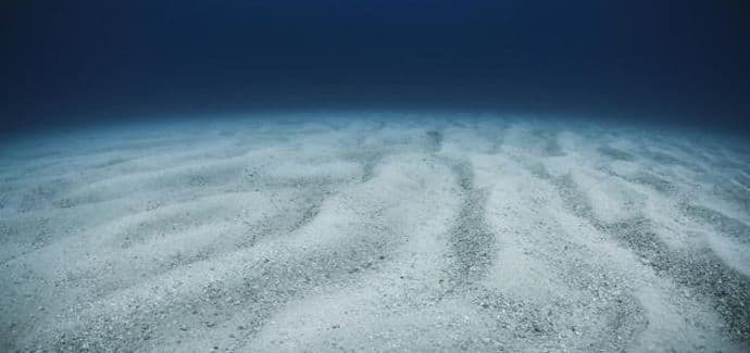 Uznemirujuće otkriće na dnu okeana Uznemirujuće otkriće na dnu okeana