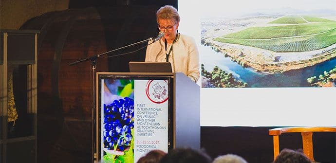 Kratošija najstarije ime za sortu vinove loze Kratošija najstarije ime za sortu vinove loze