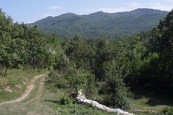 Vuko Simović nadjen mrtav