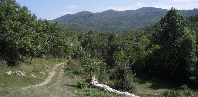 Vuko Simović nadjen mrtav Vuko Simović nadjen mrtav