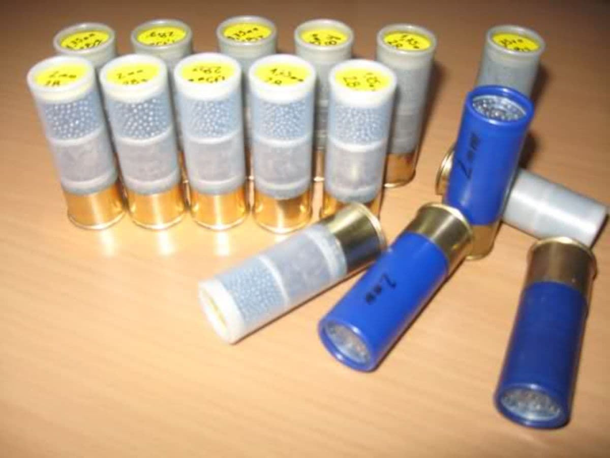 Podgorica: Pronađeno više komada municije i metalni boks Podgorica: Pronađeno više komada municije i metalni boks