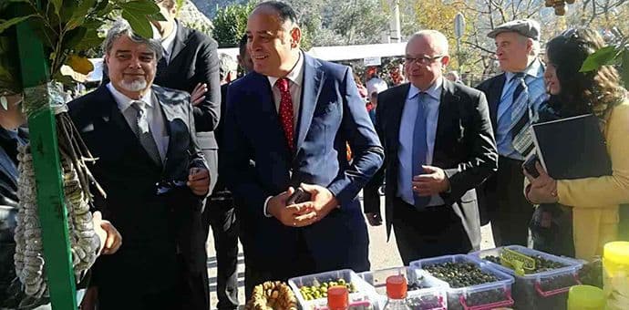 Kuća maslina naredne godine u Starom Baru Kuća maslina naredne godine u Starom Baru