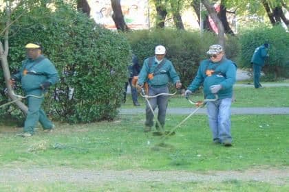 Povećane aktivnosti na sječi izvaljenih stabala i polomljenih grana Povećane aktivnosti na sječi izvaljenih stabala i polomljenih grana