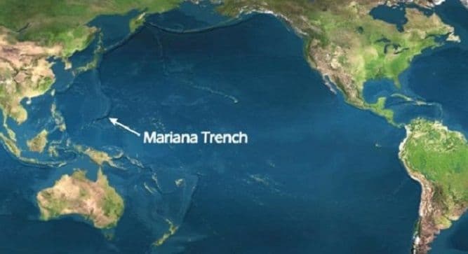 Fascinantno otkriće na dubini od 8.000 metara (VIDEO) Fascinantno otkriće na dubini od 8.000 metara (VIDEO)