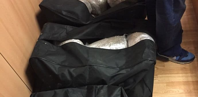 Oduzeto oko 50 kilograma skanka, uhapšen osumnjičeni Oduzeto oko 50 kilograma skanka, uhapšen osumnjičeni