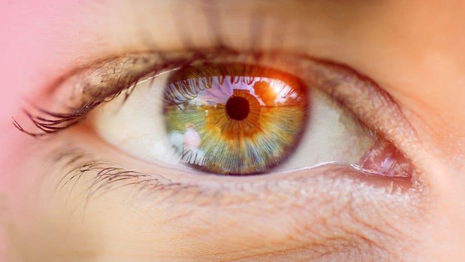 Algoritam predviđa rizik od srčanih oboljenja pomoću slike oka Algoritam predviđa rizik od srčanih oboljenja pomoću slike oka