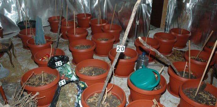 Kod Cetinjanina pronađena laboratorija za proizvodnju marihuane Kod Cetinjanina pronađena laboratorija za proizvodnju marihuane