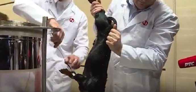 Zašto su Rusi pred Vučićem potopili psa? Zašto su Rusi pred Vučićem potopili psa?