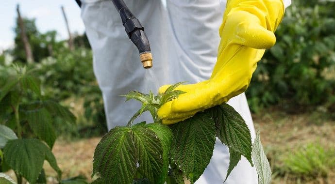 Pesticidi uskoro samo na recept Pesticidi uskoro samo na recept
