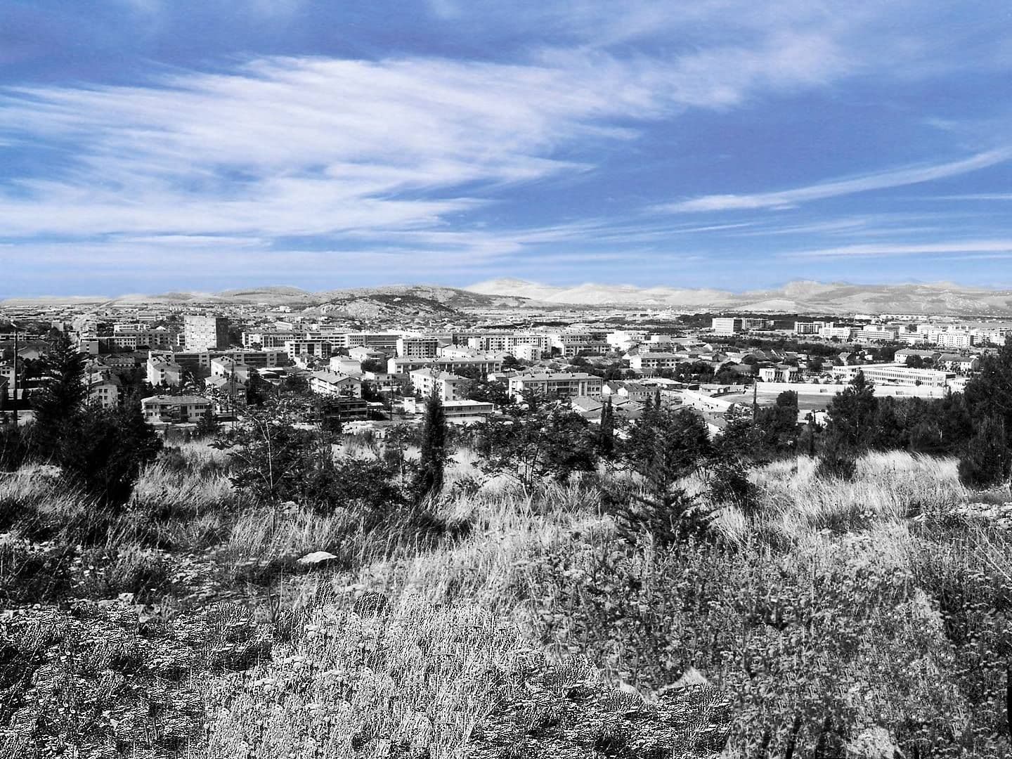 Dva filma Momira Matovića u KIC-u Dva filma Momira Matovića u KIC-u