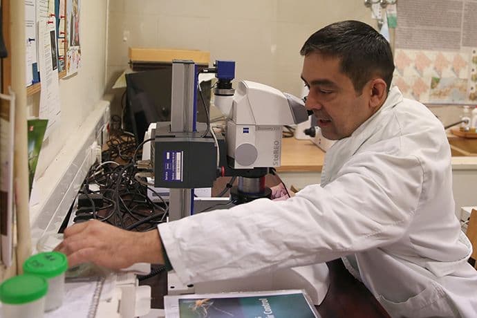 PAJOVIĆ: Ako nije primjenljiva nauka je beskorisna PAJOVIĆ: Ako nije primjenljiva nauka je beskorisna