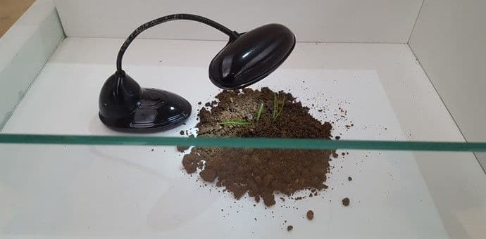 Prestižna nagrada Onufri za Jelenu Tomašević Prestižna nagrada Onufri za Jelenu Tomašević