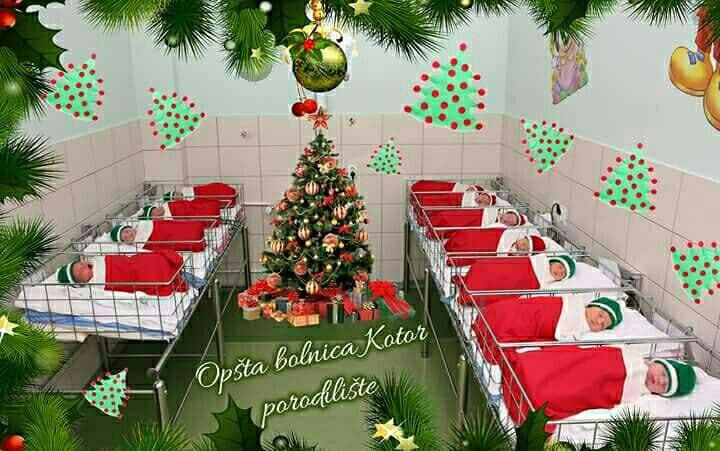 bebe1 bebe1