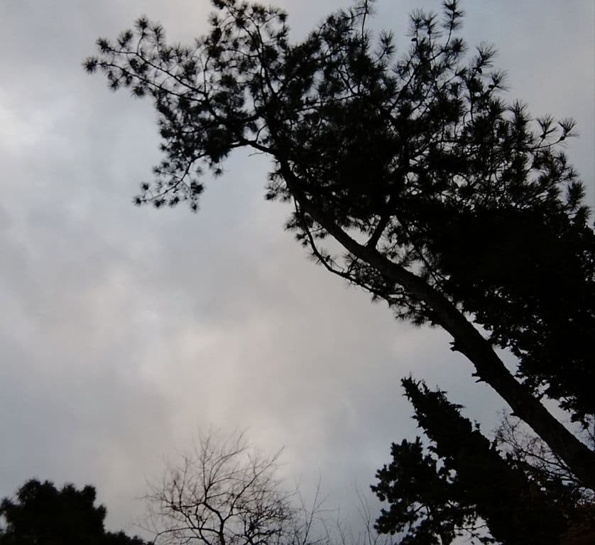 Sjutra oblačno, mjestimično kiša Sjutra oblačno, mjestimično kiša