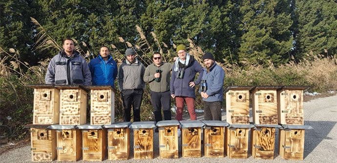 Postavljene kućice za ugroženu zlatovranu Postavljene kućice za ugroženu zlatovranu