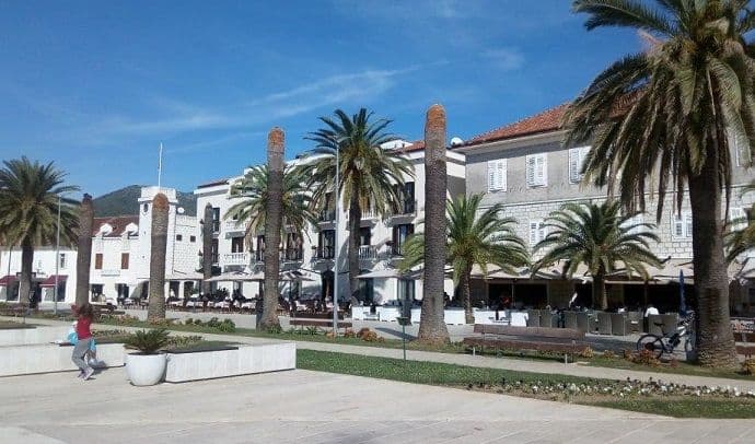 Za pet godina je uništena 561 palma Za pet godina je uništena 561 palma