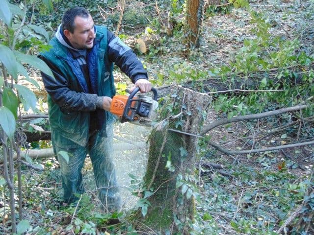 Čistoća u 2017. godini dostigla rekord u sakupljanja količine otpada Čistoća u 2017. godini dostigla rekord u sakupljanja količine otpada