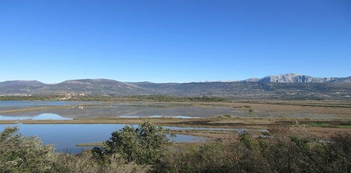 Radionica za djecu povodom Svjetskog dana vlažnih staništa Radionica za djecu povodom Svjetskog dana vlažnih staništa