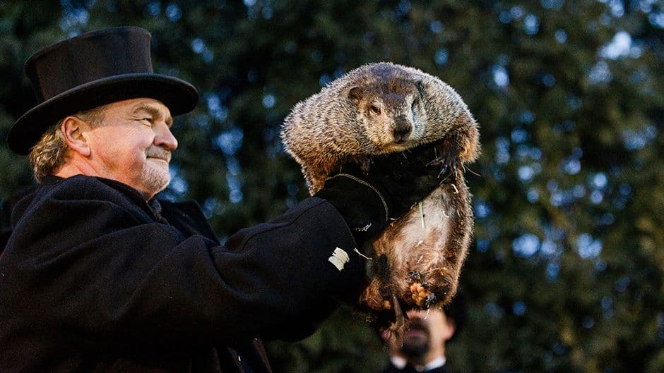 Mrmot Fil "prognozirao" još šest nedjelja zime Mrmot Fil "prognozirao" još šest nedjelja zime