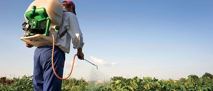 Sertifikat do sada dobilo 156 korisnika Sertifikat do sada dobilo 156 korisnika