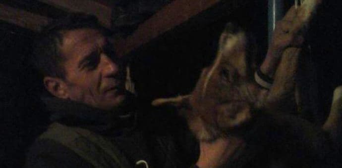 Adrović kažnjen sa 300 eura zbog mučenja psa Adrović kažnjen sa 300 eura zbog mučenja psa