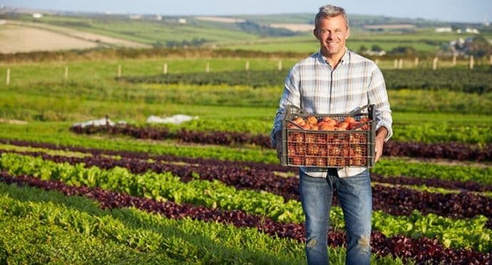 Izdata 354 sertifikata za organsku proizvodnju Izdata 354 sertifikata za organsku proizvodnju