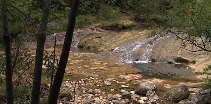 Grade malu elektranu na Bukovici Grade malu elektranu na Bukovici