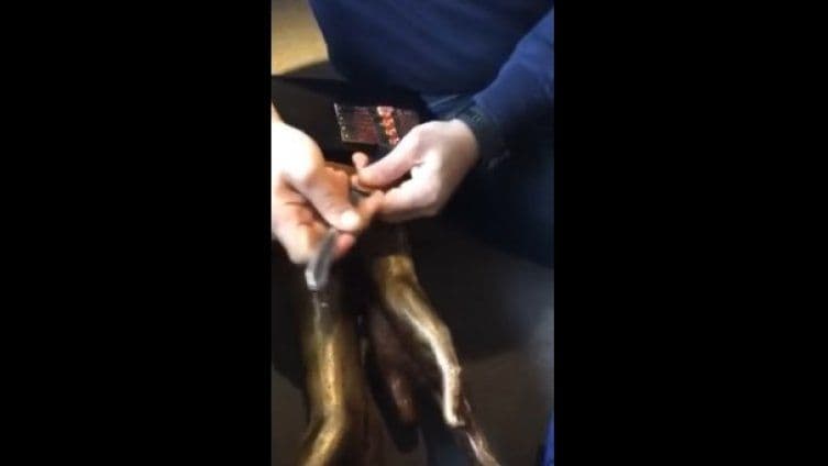 Oskrnavljena "Žućkova ljevica" Oskrnavljena "Žućkova ljevica"